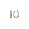 Series The Universe Oval Pave Earrings