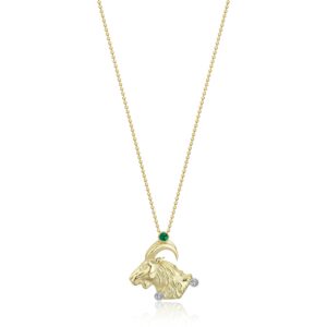 Star Sign – Capricorn Necklace