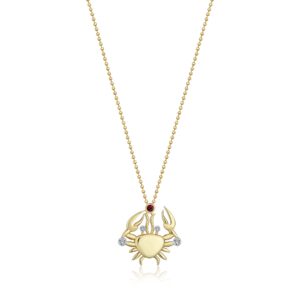 Star Sign – Cancer Necklace