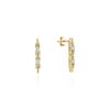 Series Moonlight 0.40 ct Diamond Earrings